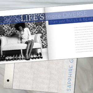 The Sapphire Group brochure